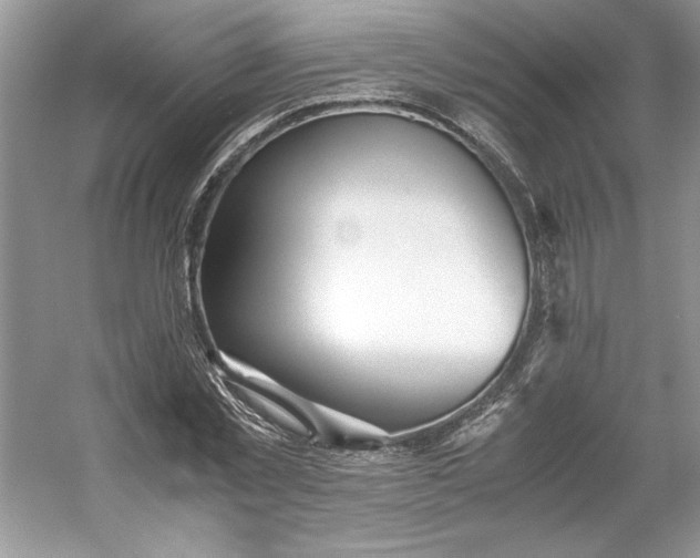 X0000053110781200507251656