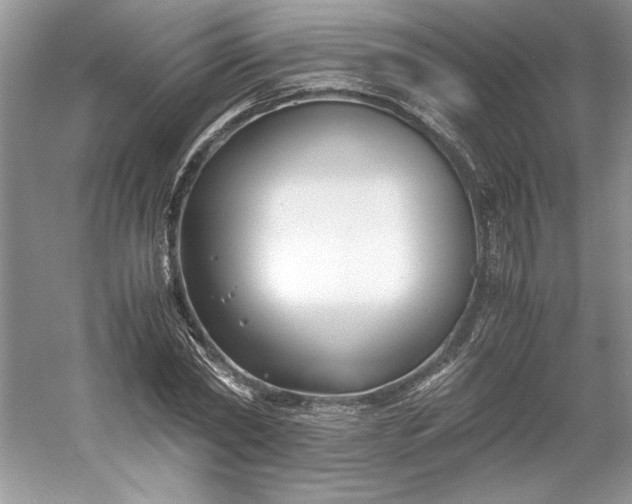 X0000053110782200507251656