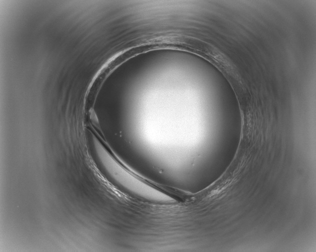 X0000053110784200507251656