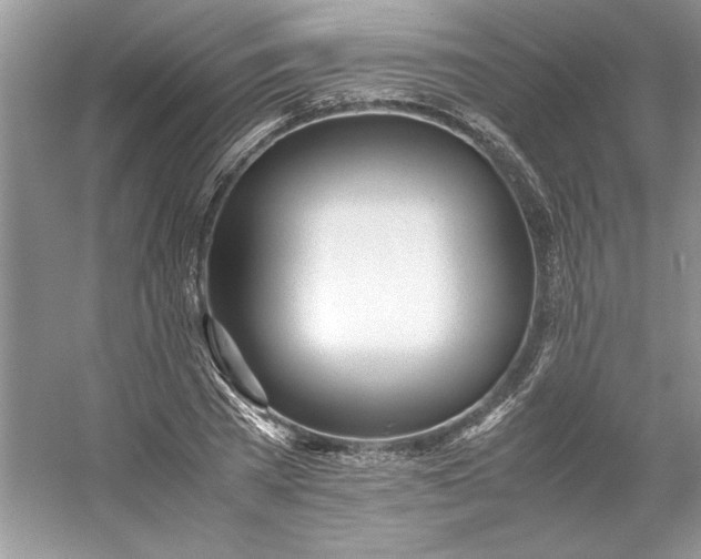X0000053110785200507251656