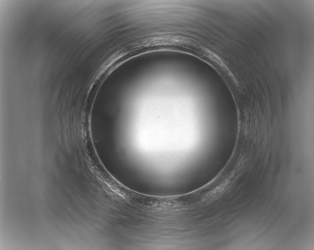 X0000053110786200507251656