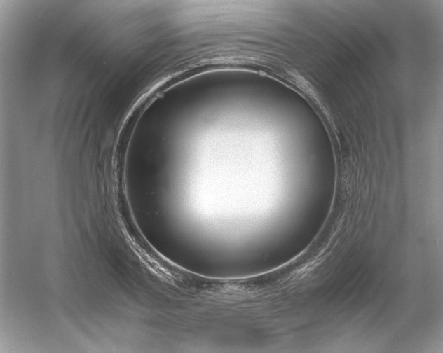 X0000053110787200507251656
