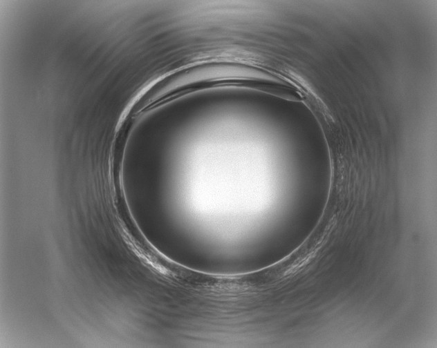 X0000053110788200507251656