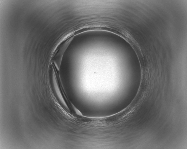 X0000053110789200507251656