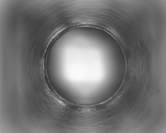 X0000053110790200507251656