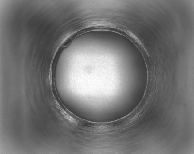 X0000053110791200507251656