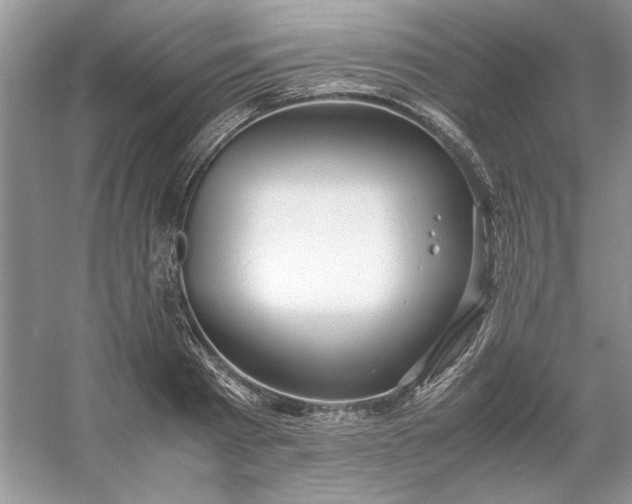 X0000053110793200507251655
