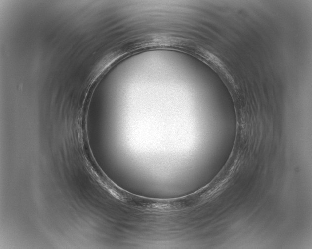 X0000053110794200507251655