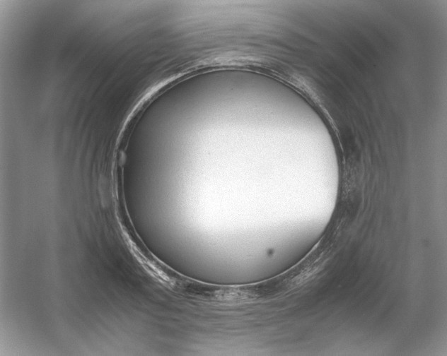 X0000053110795200507251655