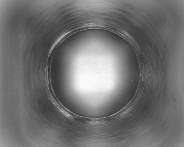 X0000053110796200507251655