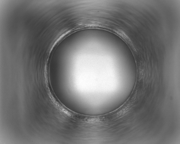 X0000053110798200507251655