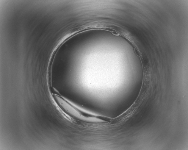 X0000053110803200507251655