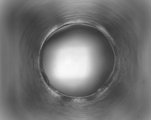 X0000053110805200507251655