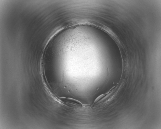 X0000053110806200507251655