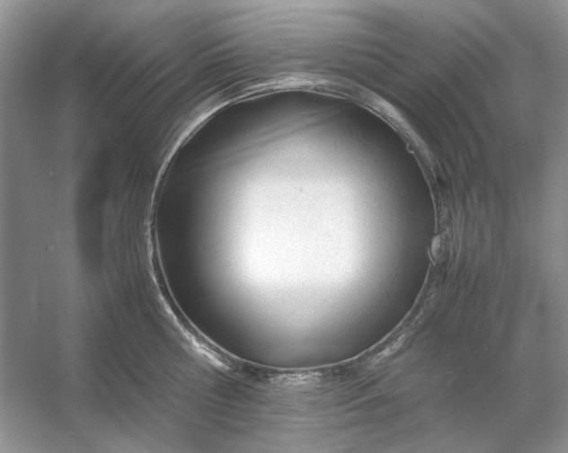 X0000053110810200507251655