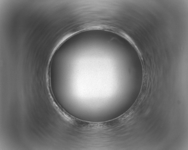X0000053110811200507251655