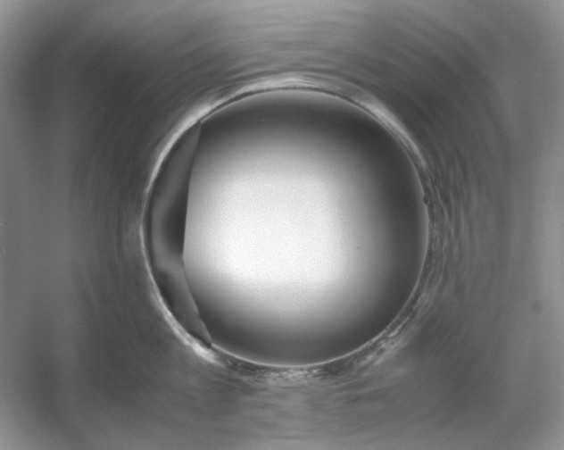X0000053110813200507251655