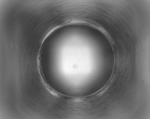 X0000053110814200507251655
