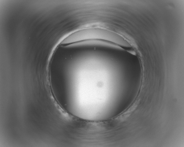 X0000053110816200507251655