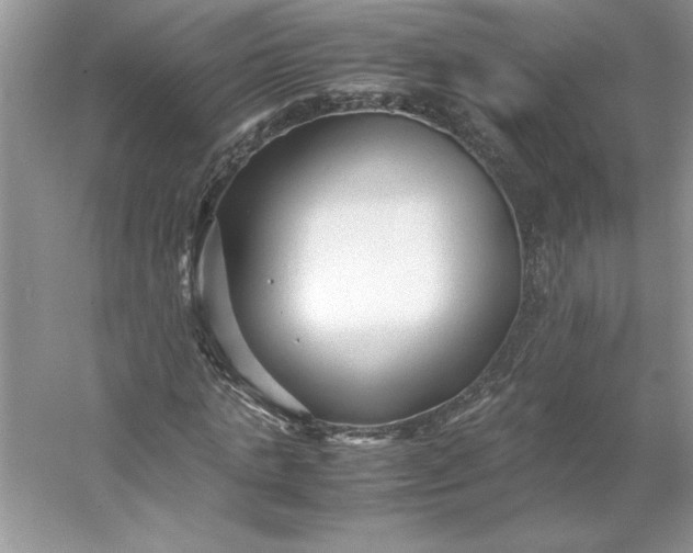 X0000053110821200507251654