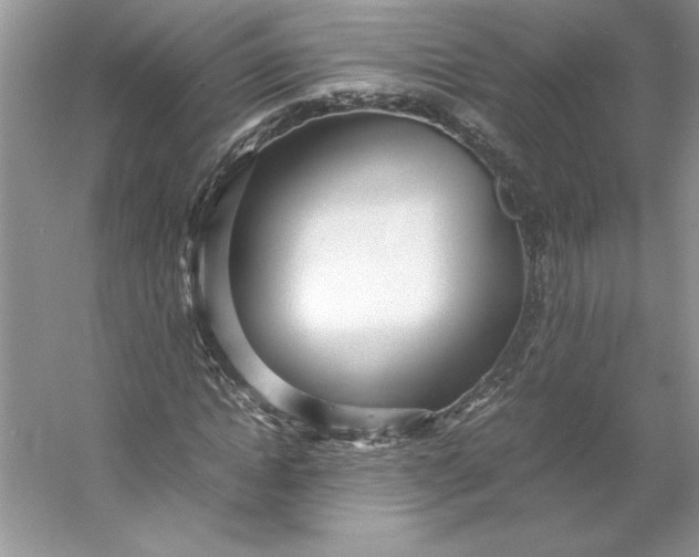 X0000053110822200507251654