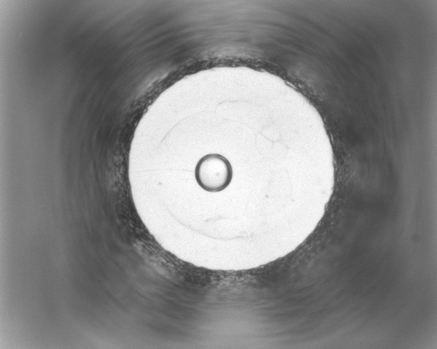 X0000053110824200507251654