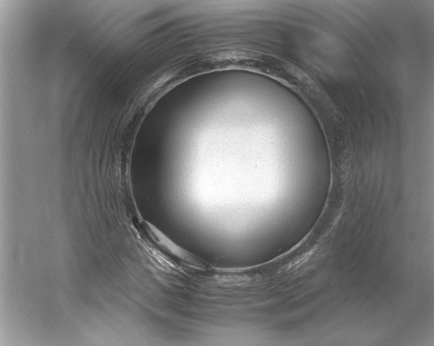 X0000053110825200507251654