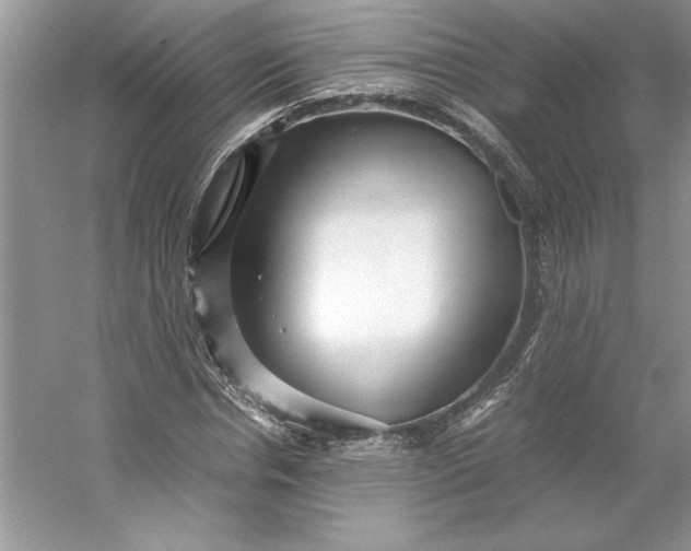 X0000053110826200507251654