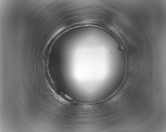 X0000053110827200507251654
