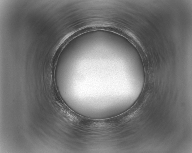 X0000053110829200507251654