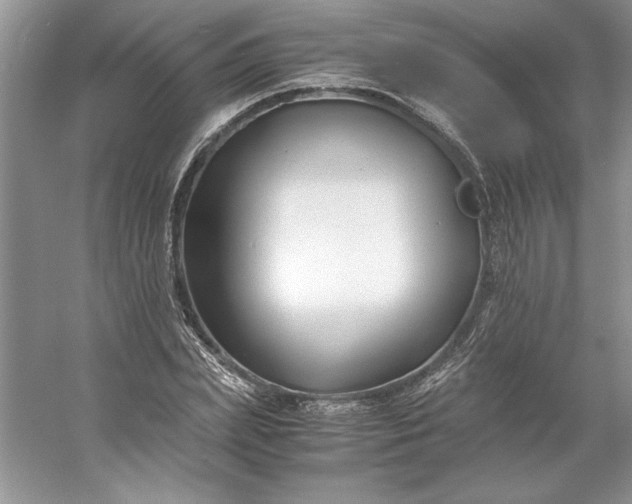 X0000053110831200507251655