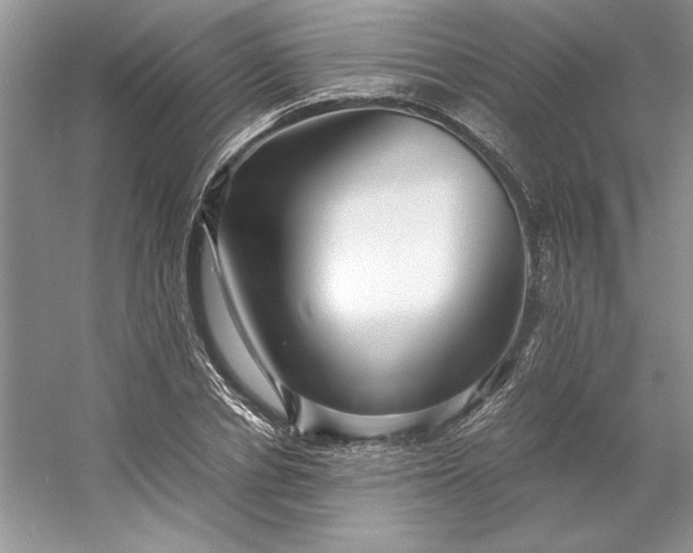 X0000053110834200507251655