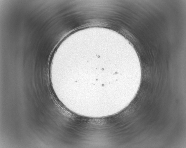X0000053110836200507251655