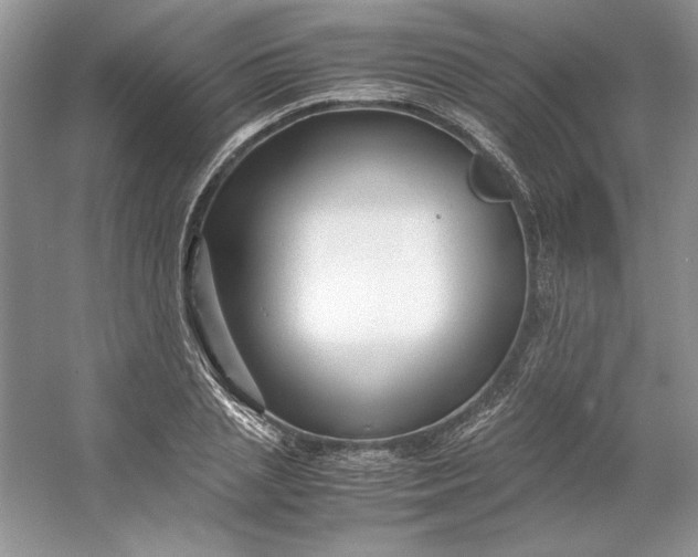 X0000053110837200507251655