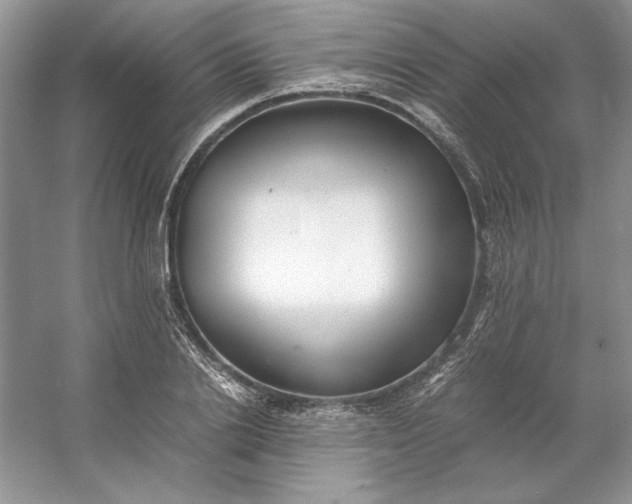X0000053110838200507251655