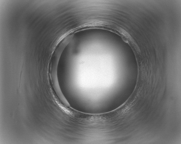 X0000053110842200507251655