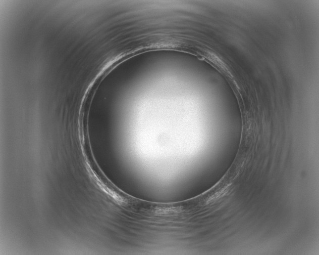 X0000053110843200507251655