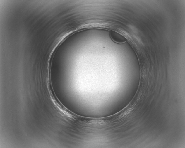 X0000053110844200507251655