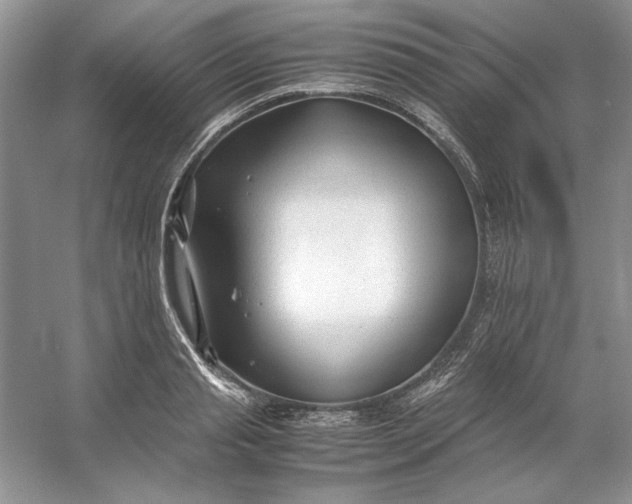 X0000053110845200507251655