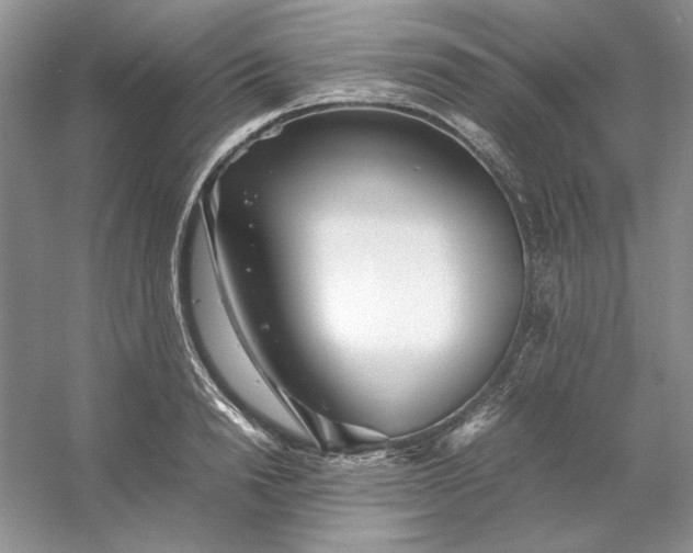 X0000053110846200507251655