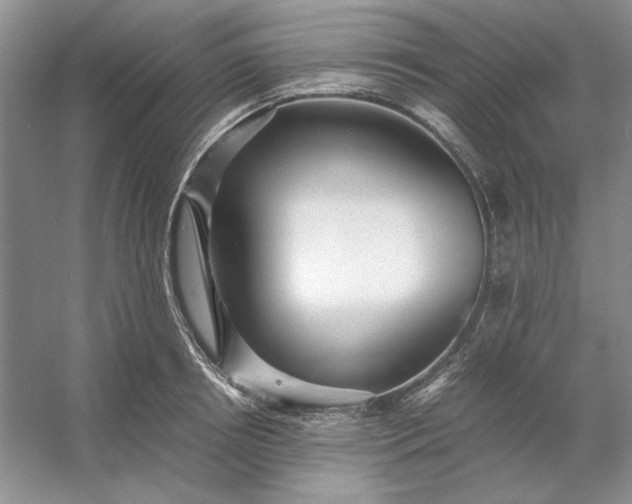 X0000053110850200507251655