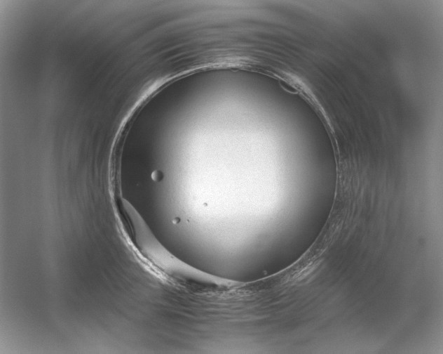 X0000053110851200507251655