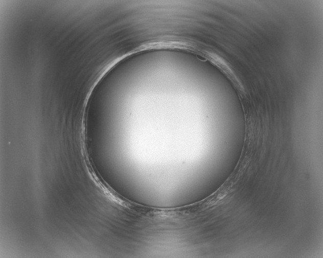 X0000053110852200507251655