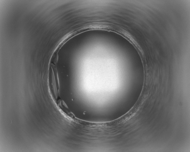 X0000053110853200507251655