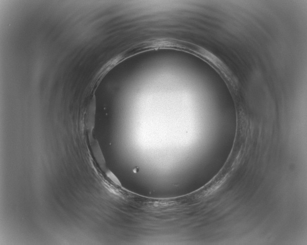 X0000053110857200507251655