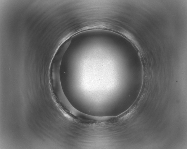 X0000053110858200507251655