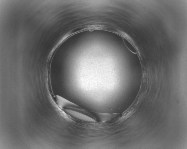 X0000053110859200507251655