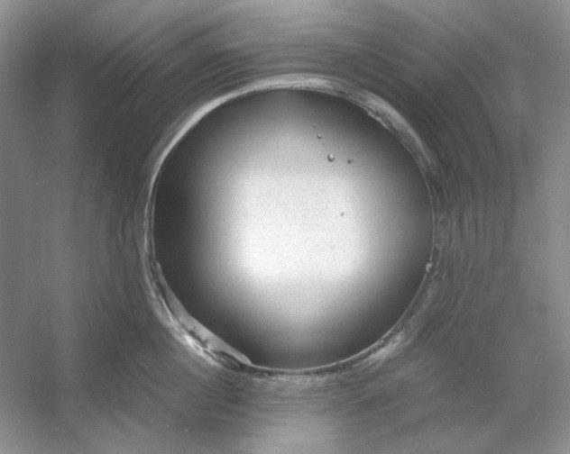 X0000053110860200507251655