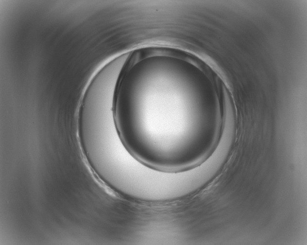 X0000053110862200507251655
