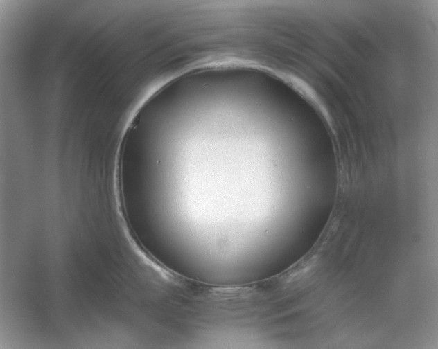 X0000053110863200507251655